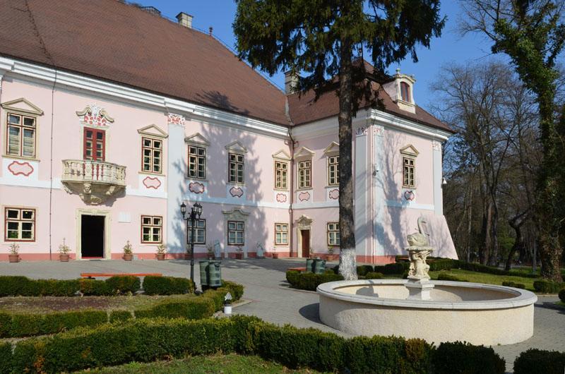 Vila Europa Cluj-Napoca Exterior foto